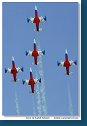 L-39C Biele Albatrosy
