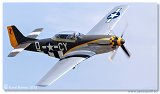 North American P-51D Mustang 
