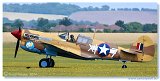 Curtiss P-40F Warhawk Lees Hope 