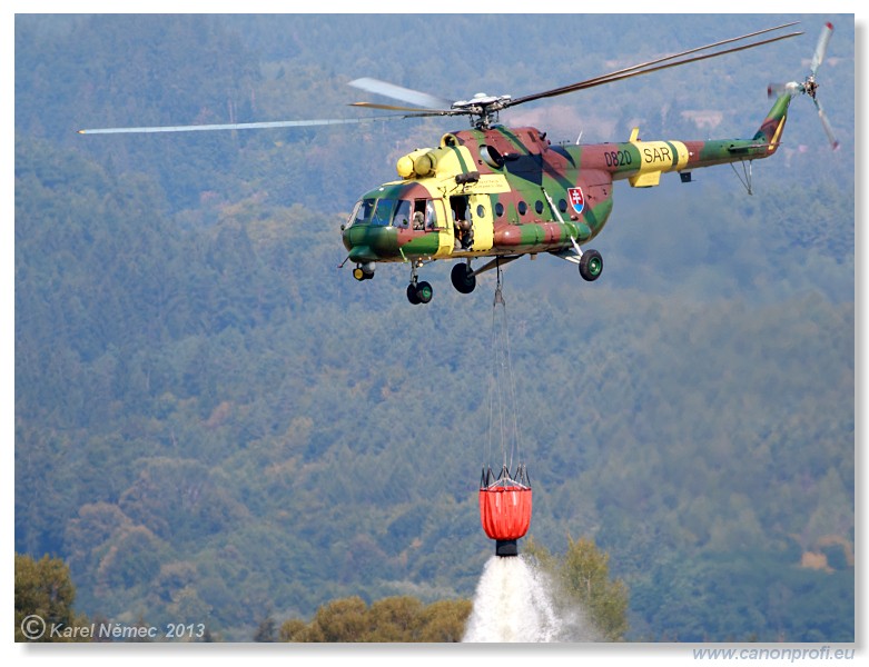 Medzinrodn leteck dni Slia 2013