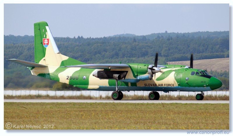 Medzinrodn leteck dni Slia 2013