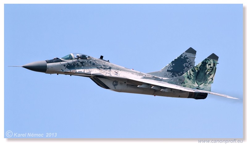 Medzinrodn leteck dni Slia 2013