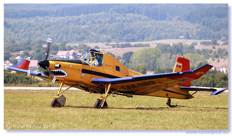 Medzinrodn leteck dni Slia 2013