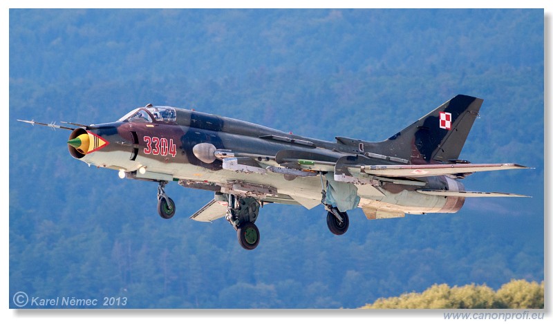 Medzinrodn leteck dni Slia 2013