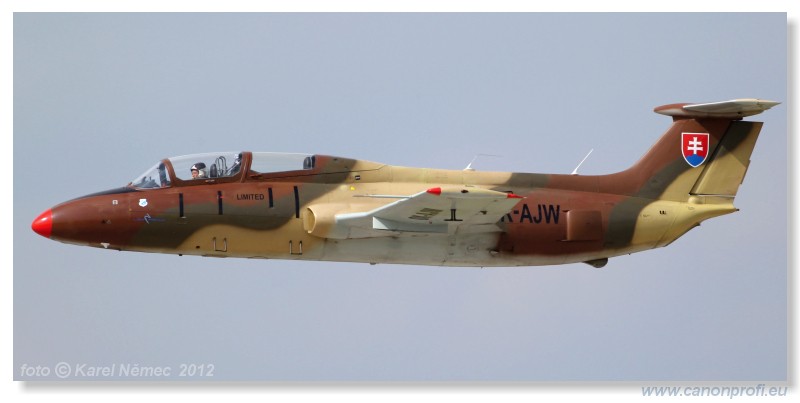 Aviatick pou Pardubice 2012