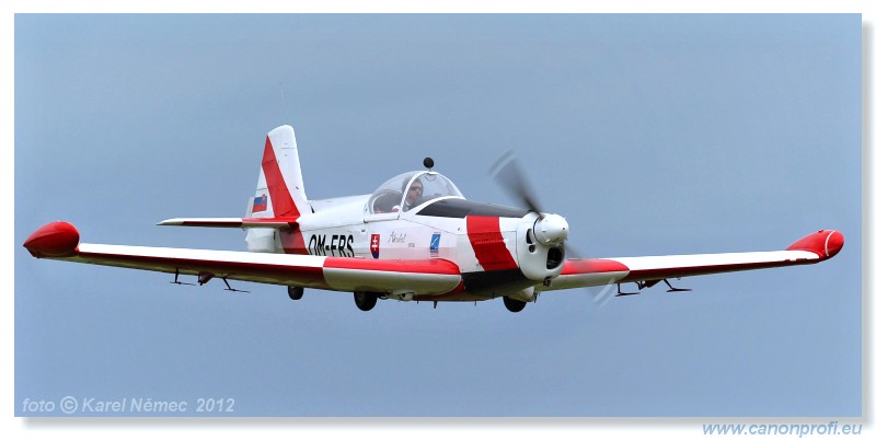 Slavnica Airshow 2012