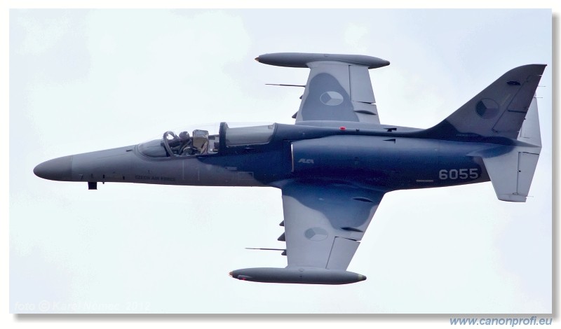 Medzinrodn leteck dni Slia 2012