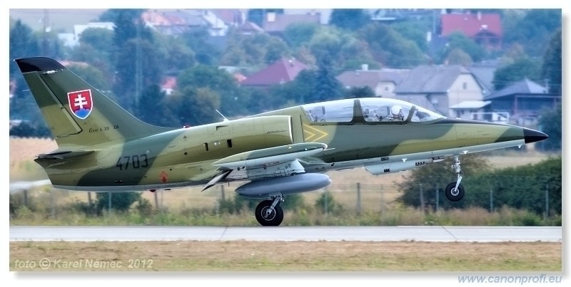 Medzinrodn leteck dni Slia 2012