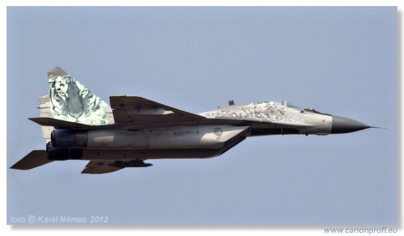 Medzinrodn leteck dni Slia 2012