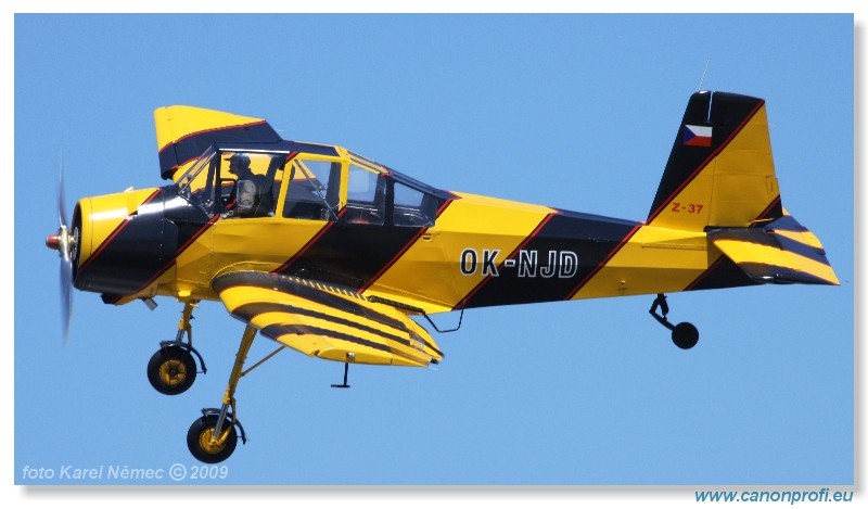  IFD Hradec Krlov 2009