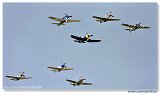 Flying Legends 2008 