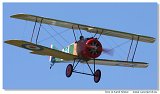 Sopwith Camel F.1 - Ltajc cirkus 