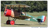 Sopwith Camel F.1 - Ltajc cirkus 