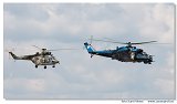 Mi-24 & W-3 