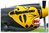 Curtiss P-40N Kittyhawk 