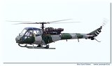Westland Scout AH1 