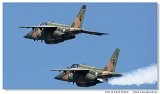 Asas de Portugal - Alpha Jet A 