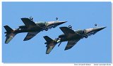 Asas de Portugal - Alpha Jet A 