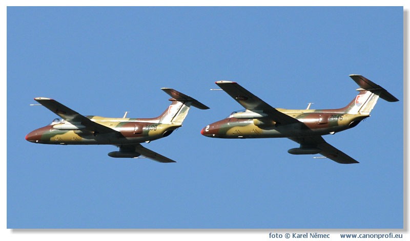  Lenie s Delfnom 2003