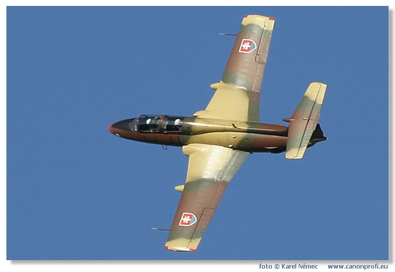  Lenie s Delfnom 2003