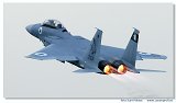 F-15D 