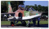 Su-25 