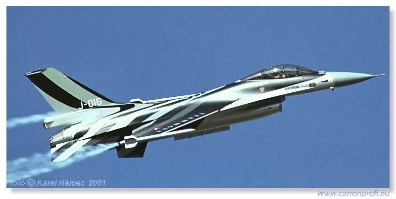 CIAF Hradec Krlov 2001