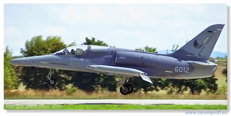 CIAF Hradec Krlov 2001