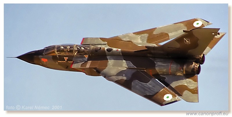 CIAF Hradec Krlov 2001