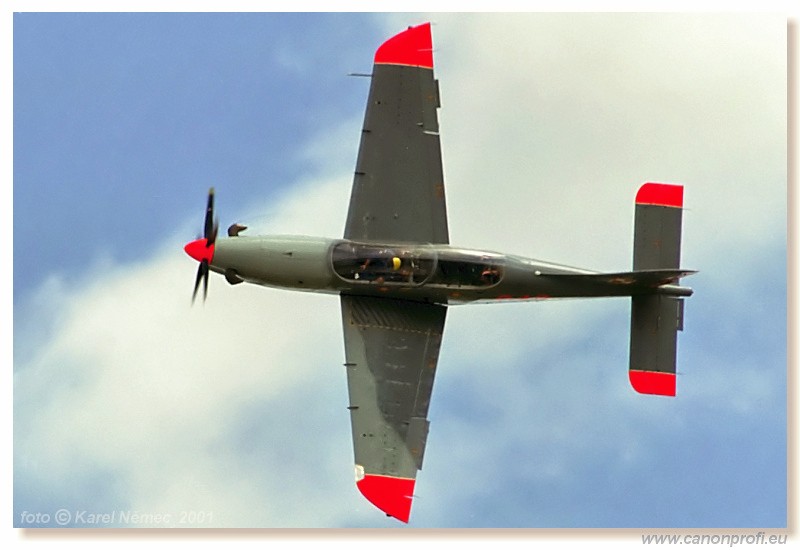 CIAF Hradec Krlov 2001