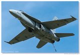 McDonnell Douglas EF-18A Hornet 