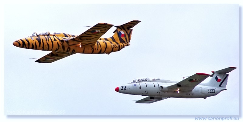 1996 - CIAF Hradec Krlov