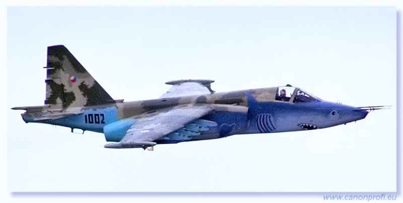 1996 - CIAF Hradec Krlov