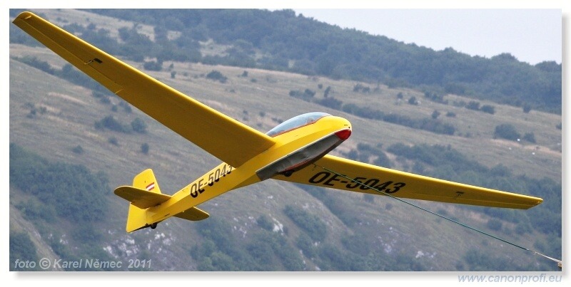 Vintage Glider Club Rally 2011