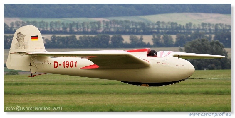 Vintage Glider Club Rally 2011