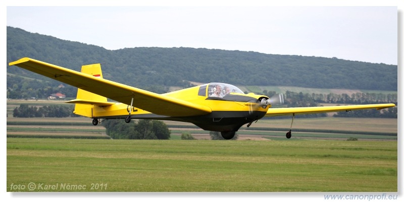 Vintage Glider Club Rally 2011