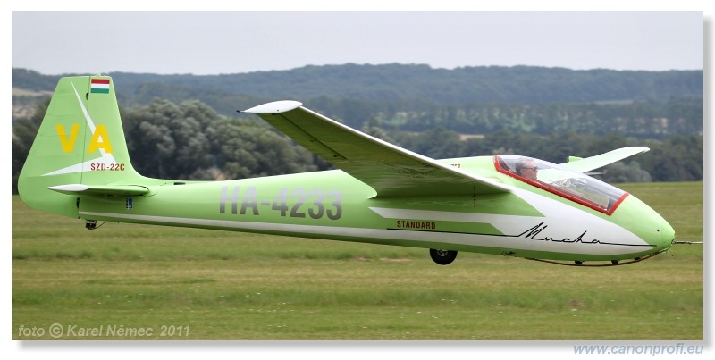 Vintage Glider Club Rally 2011