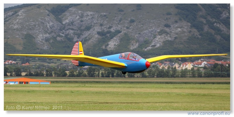 Vintage Glider Club Rally 2011