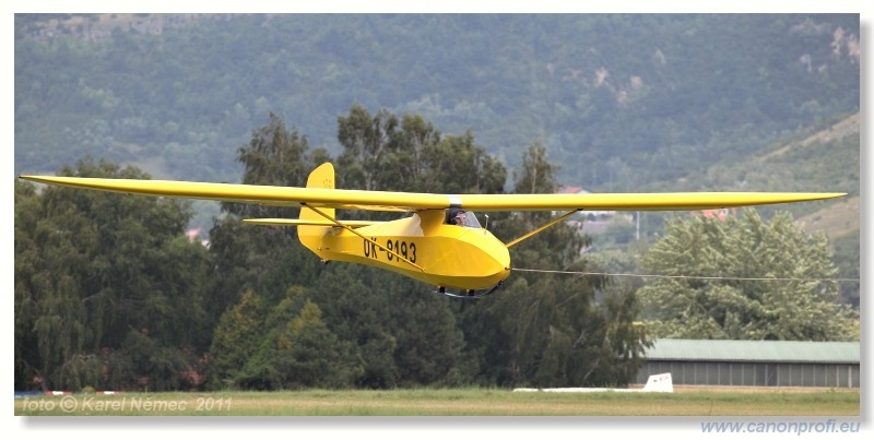 Vintage Glider Club Rally 2011