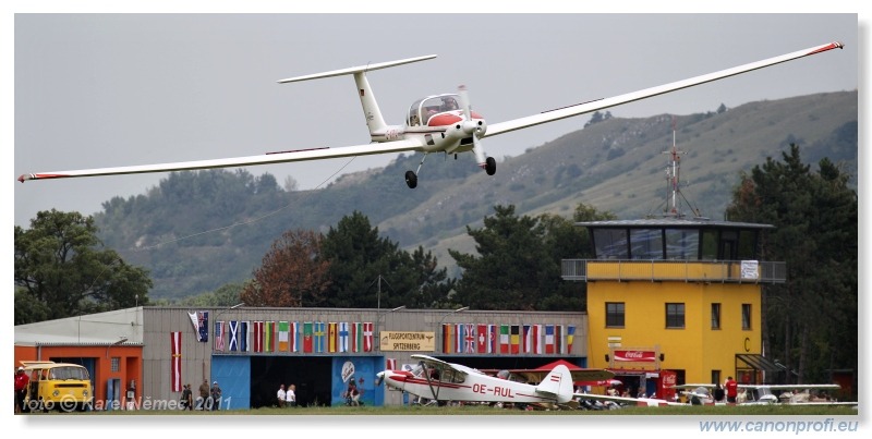 Vintage Glider Club Rally 2011