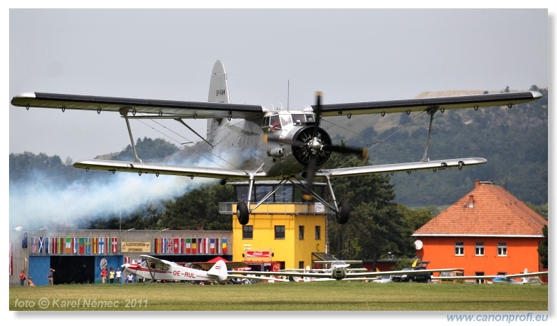 Vintage Glider Club Rally 2011