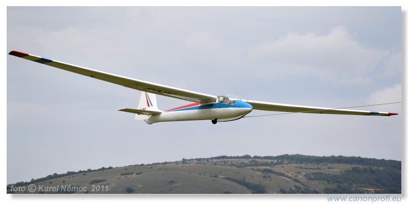 Vintage Glider Club Rally 2011