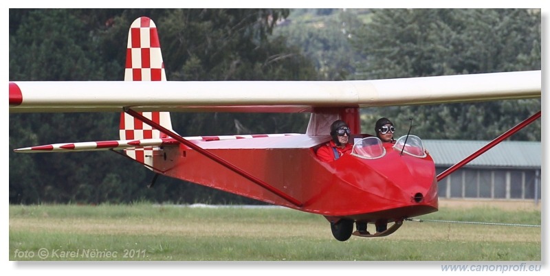 Vintage Glider Club Rally 2011