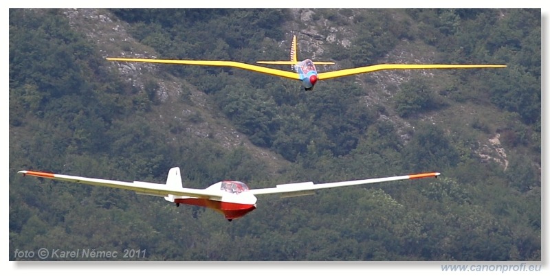 Vintage Glider Club Rally 2011