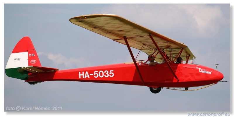 Vintage Glider Club Rally 2011