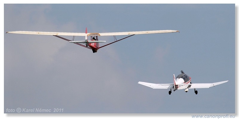 Vintage Glider Club Rally 2011