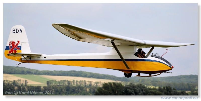 Vintage Glider Club Rally 2011