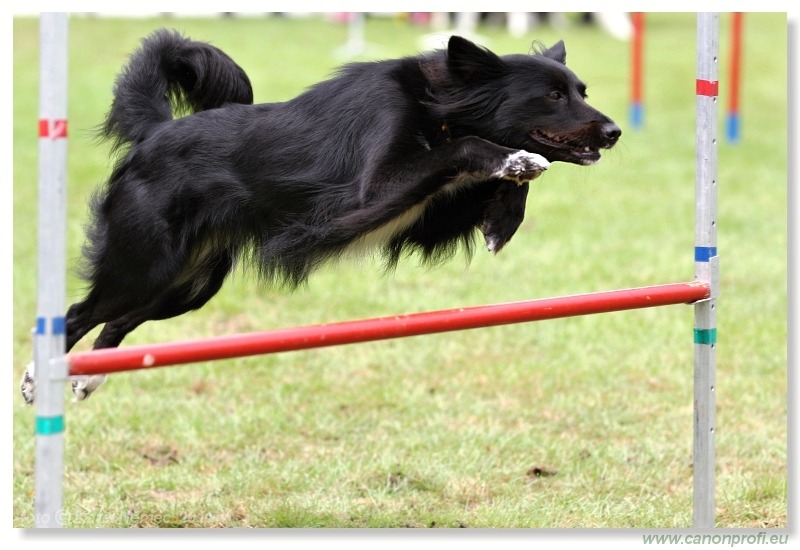 Agility - Bratislava - 2011