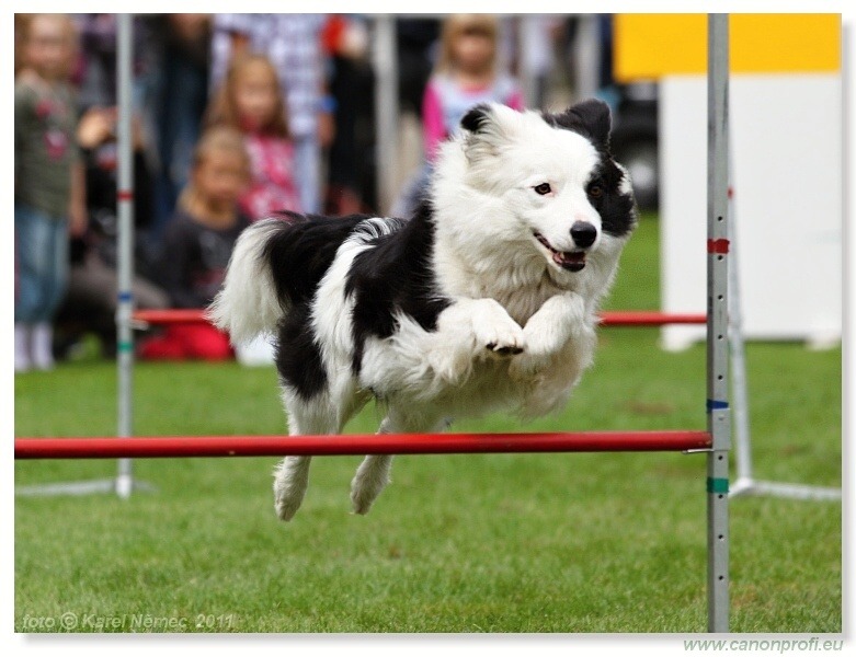 Agility - Bratislava - 2011