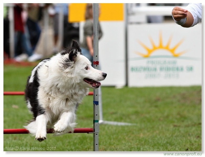 Agility - Bratislava - 2011